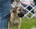 20160521-kdca-0219