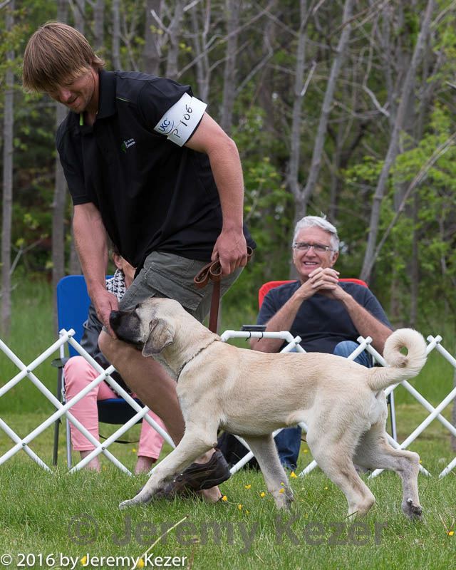 20160521-kdca-0171.jpg