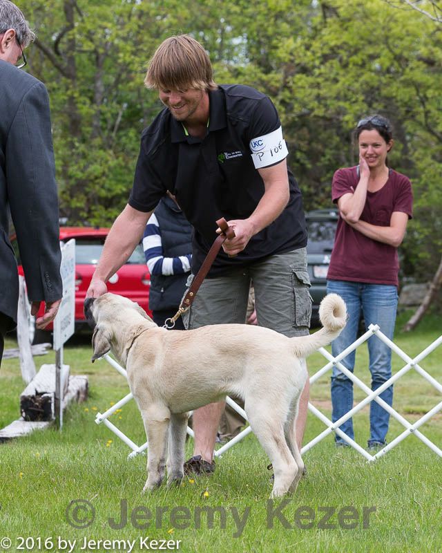 20160521-kdca-0176.jpg