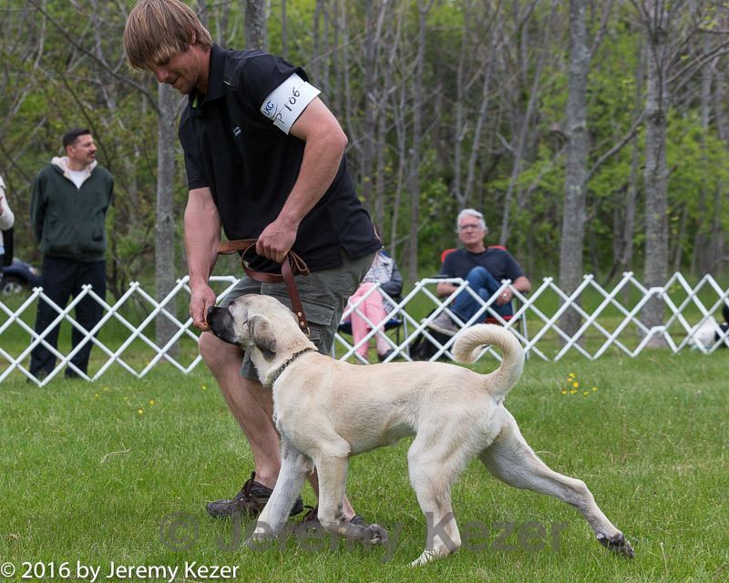 20160521-kdca-0179.jpg