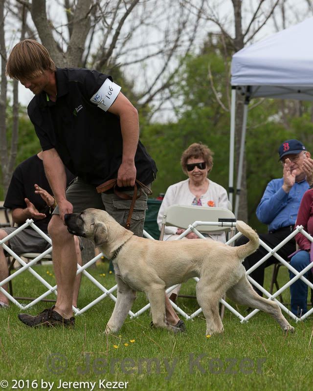 20160521-kdca-0193.jpg