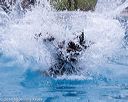 20160813-0415