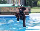 20160813-0530