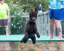 20160813-0719