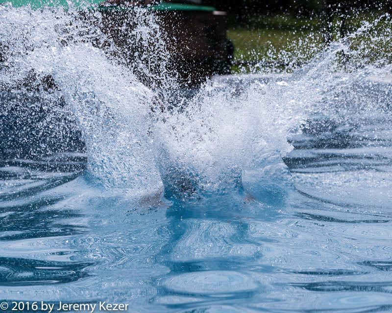 20160813-0572.jpg
