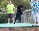 20160813-0118