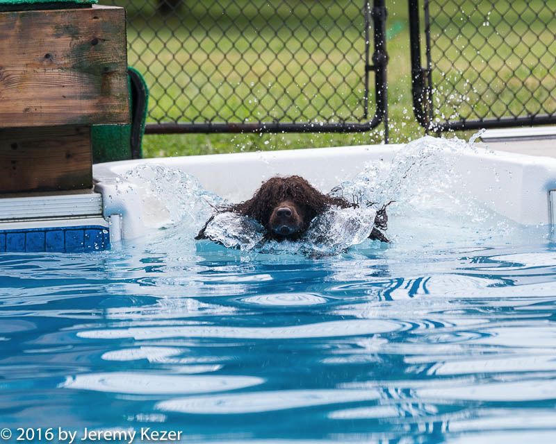 20160813-0137.jpg