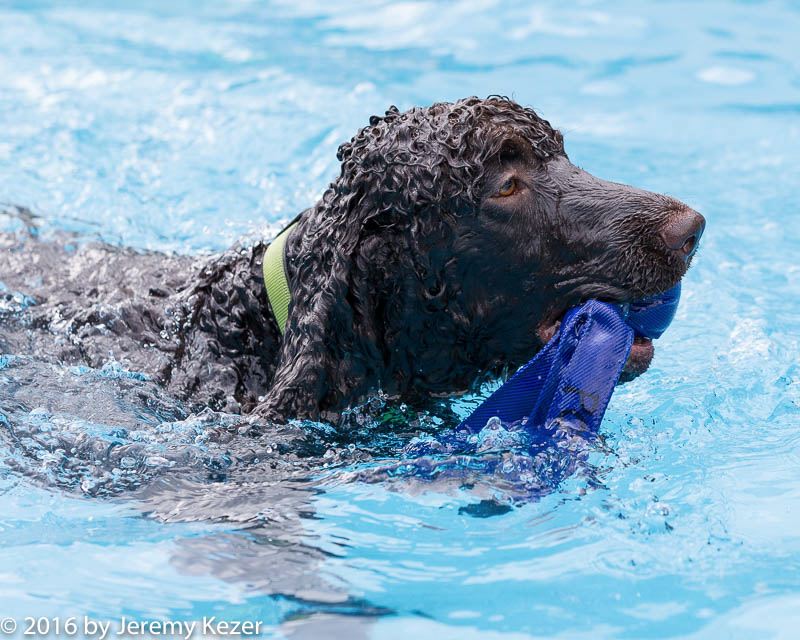 20160813-0819.jpg