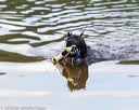 20160820-awd-0017
