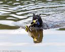 20160820-awd-0018