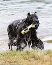 20160820-awd-0030