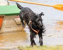 20160820-awd-0046