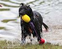 20160820-awd-0067