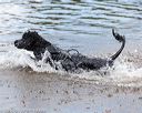 20160820-awd-0105