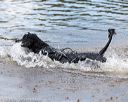 20160820-awd-0106