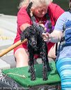 20160820-awd-0123