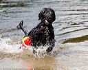 20160820-awd-0148