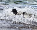 20160820-awd-0165