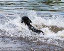 20160820-awd-0166