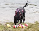 20160820-cwd-0020