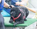 20160820-cwd-0064