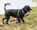 20160820-cwd-0093