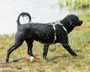 20160820-cwd-0095