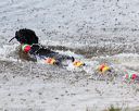 20160820-cwd-0097