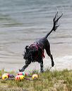 20160820-cwd-0159