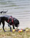 20160820-cwd-0163