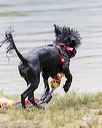 20160820-cwd-0164
