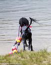 20160820-cwd-0172