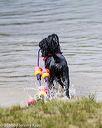 20160820-cwd-0174
