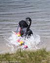 20160820-cwd-0177