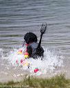 20160820-cwd-0178