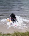 20160820-cwd-0181