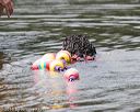 20160820-cwd-0186