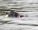 20160820-cwd-0208