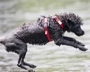 20160820-cwd-0212