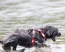 20160820-cwd-0214