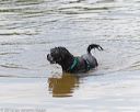 20160820-cwd-0263