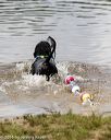 20160820-cwd-0273