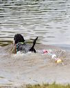 20160820-cwd-0277