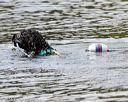 20160820-cwd-0287