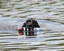 20160820-cwd-0302