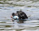 20160820-cwd-0303