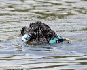 20160820-cwd-0306