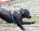 20160820-cwd-0309