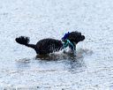 20160820-cwd-0333