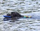 20160820-cwd-0343
